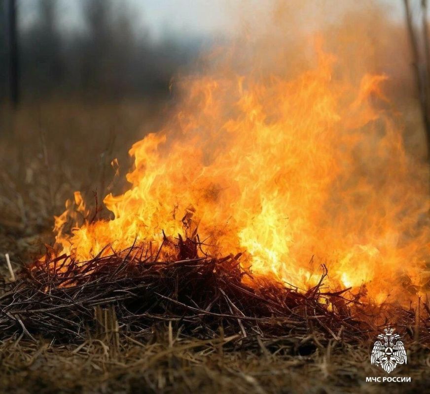 ����������� ���������� �� 31 ���� �� ���������� ���������� �������