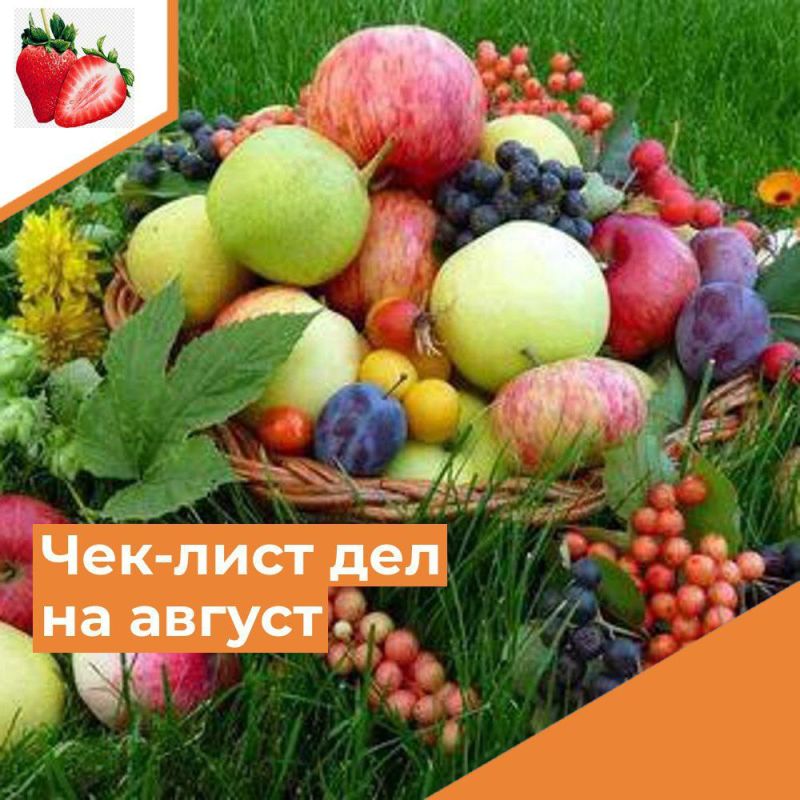 ���-���� ��� �� ������. ���� ������ ������� � ������- ��������� ����� ���� - � ������� ��� ���� �� ������������ ��������!...