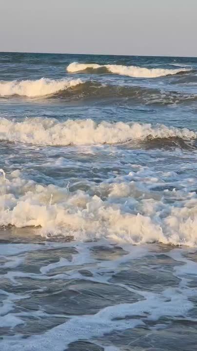 ������ � ������� ��������� ������ ����