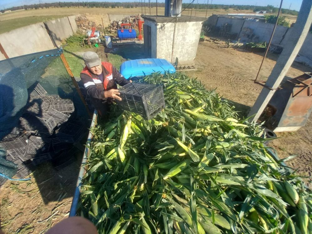 ������� �������� ��� ��� ���!