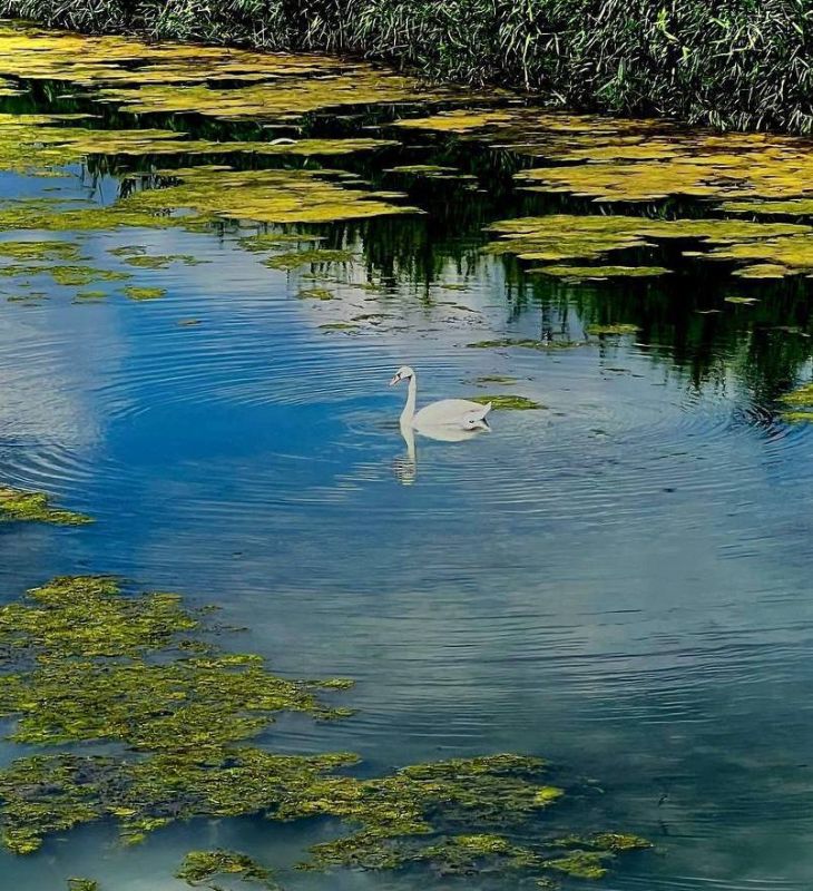 ����� ����������: � ������ ���� ���������� ������ ����! ��������, ��� ���� ���������� ������ ���������� � ���, ��� ������ ��� ������ ��������)