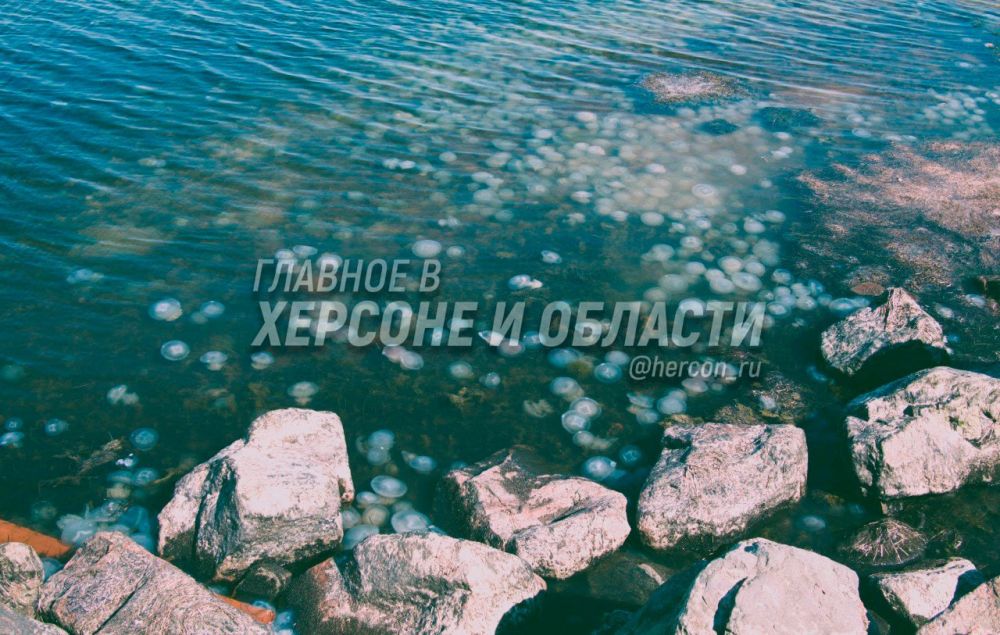 ����, ������ ����� � ��������� ������� ������������ ����� � ������ ��������� ����