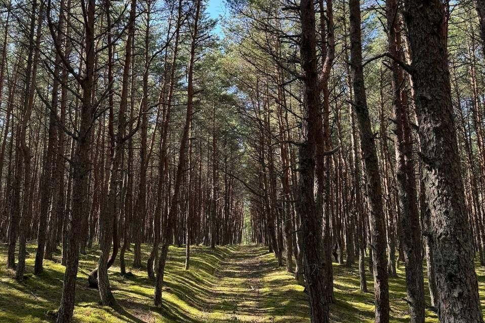 ������ �������������� � ������������ �������� ��������� � ���������� ������� ������ �� ����� ������