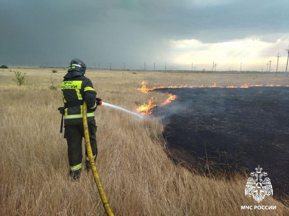 ����������� ���������� �� 01 ������� �� ���������� ���������� �������