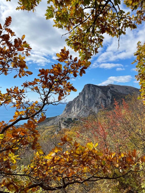 ��������� ���� � ���� �� ���������� ������ ����� � �����������