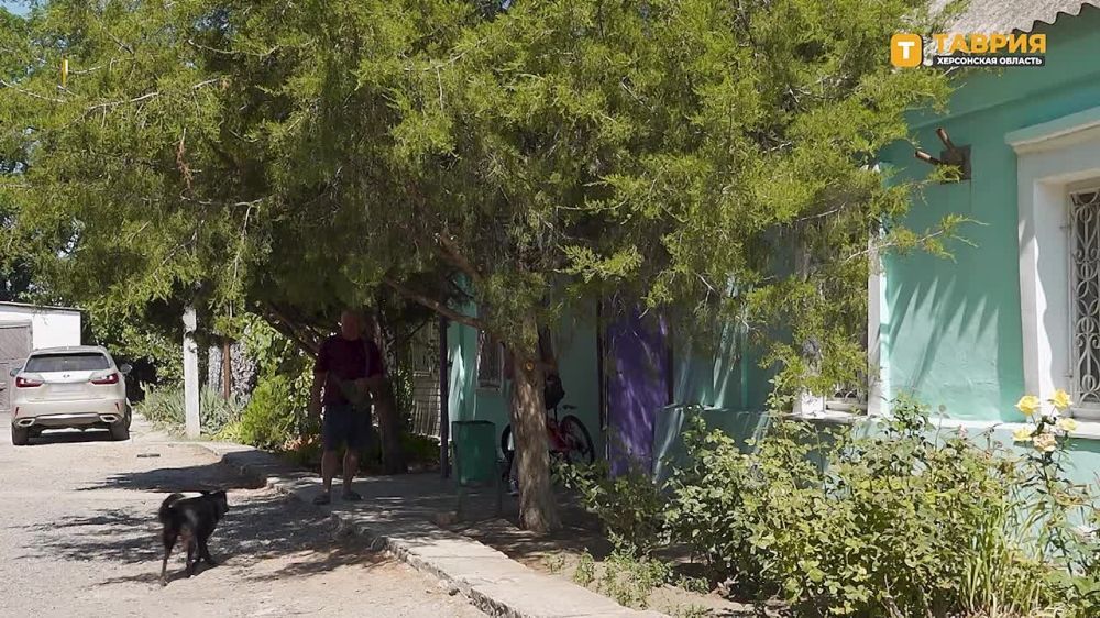 � ���������� ������� ������������ ���������� ���������� �������� �� ���������