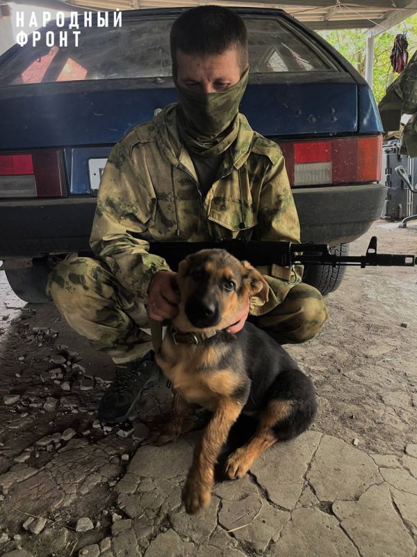 ���� ����� �������� ���� ������