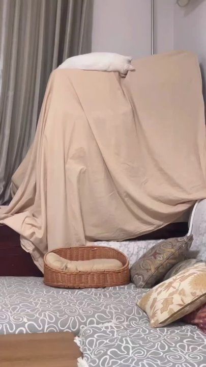 ��������� ����!. ��������-����� ���������� �������