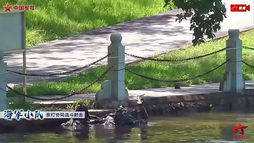 ������� ����� ����� � ����� � ���� ����� � ��������� ������� ������