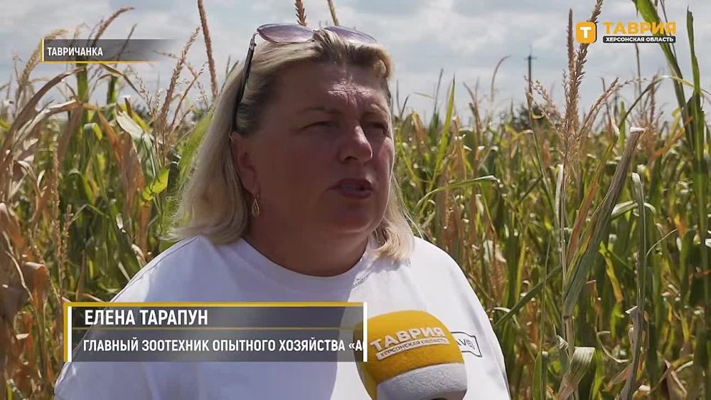 � ���������� ������� ���� ������� ���������� �������������������� ������� �� ��������������� ����