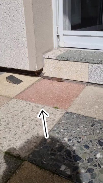 ������� �� ����, ��� ��� �� ������ �� �������������� ������