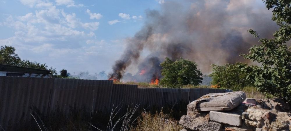 ����� ��������: ��������� - ���� �� ������ ������� ������������