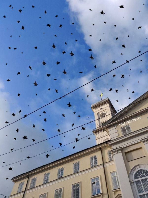 ��� ��������, � ���� ��� ������� (F16)