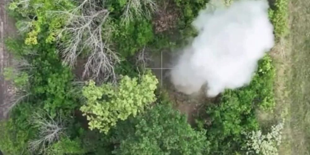 ����������� ������, ��������, ������� ������� � ��������� ���������� �������������� �� ������� ����������� �������(���������, �������������, �������)