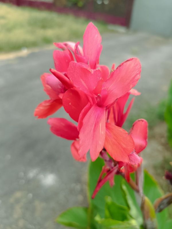 � ������ �����, �����������!