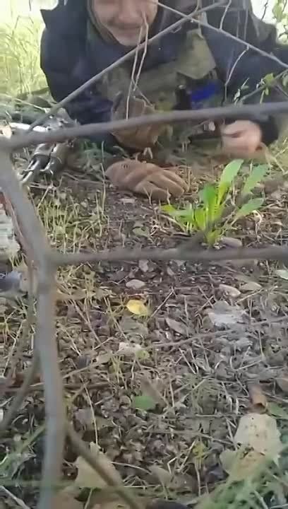 � ������ �������� ������ ���� ������ �� ���� ������������ ������