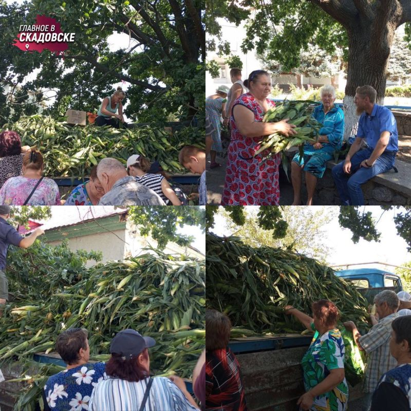 ���������� ������� �������� ������� ����������� ������� ���������