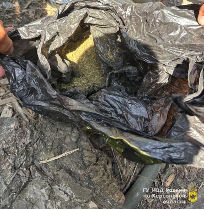 � ���������� ������� ���������� �������������� ������ ��������� � ������ �. ���������