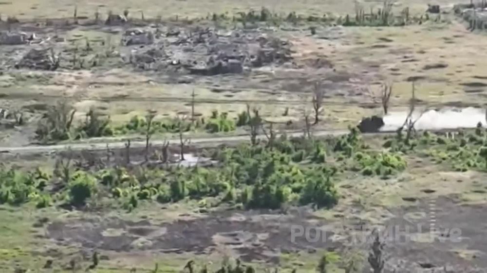 � ������ ����� ������ ����������� �������-�������� ���, ������ 40� ������� ���, ������� ���������