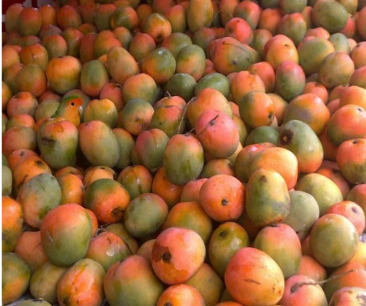 ��������� ����. ������ ���� - ��������: ���� ������� ����� �����. ��������