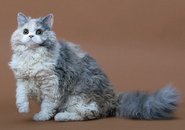 ������� ���� � ������ ����� � ������� � ���������� �������