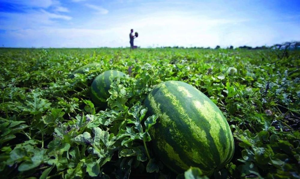 ����� ����������: ������, ���������� ��� � ���� ������!