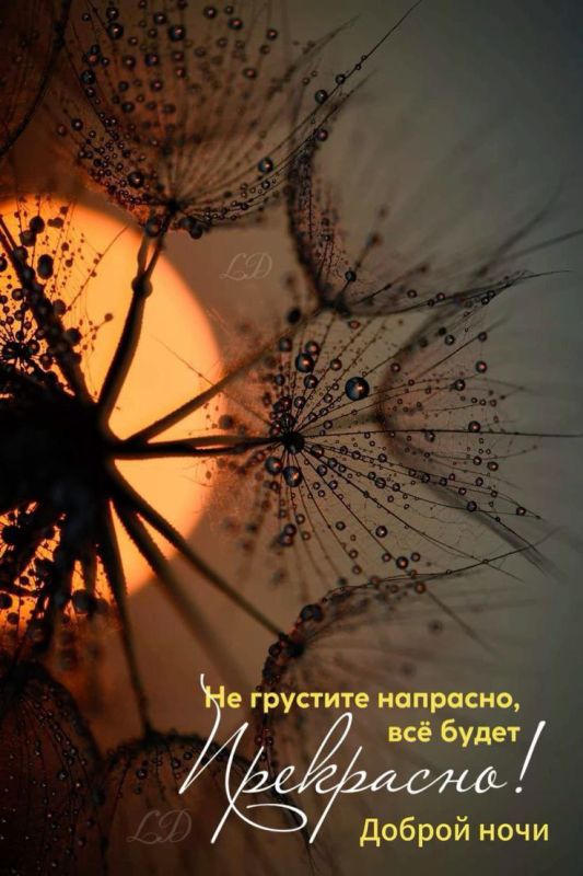 ������ ����� , ������!. ������� � ������� � ���������� ������� �������� ����������, �� �� ���������� ����� ����� ��� ������ ����� ���������� ���������. ����� �������� ����� c ������, ������� ���������� ������ ����� � ������