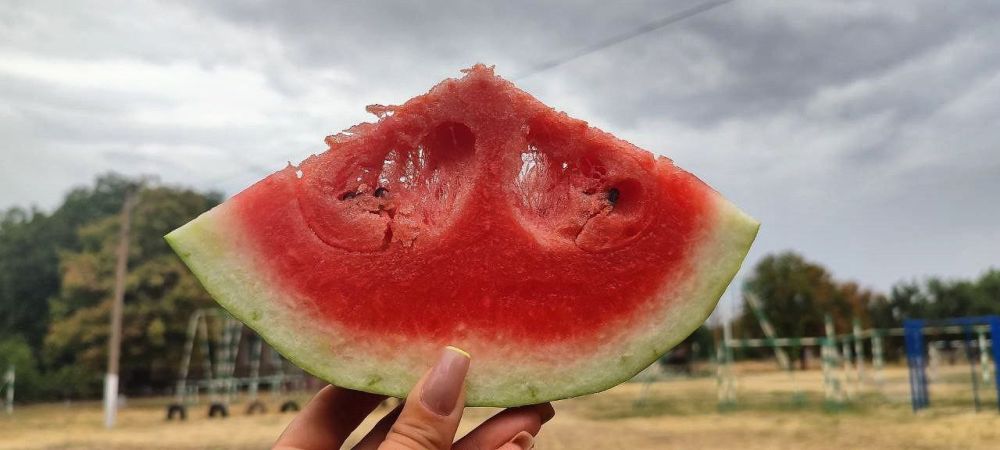 ���� ������ � �������������� ������������� ������