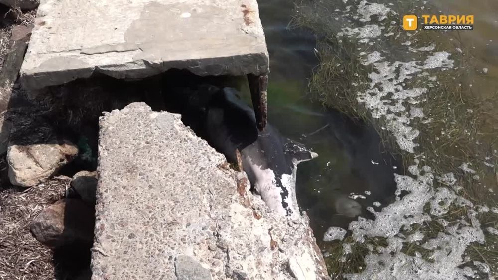 �������� �������� ���������� �� ����� � ���������