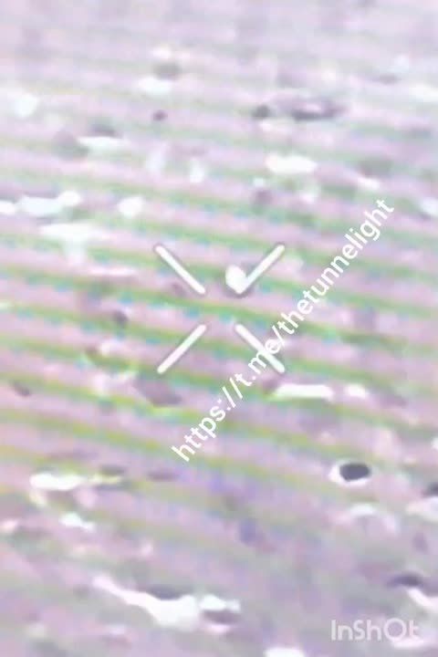 �� ������������ ���� ������� ��������� ����� �� ���!