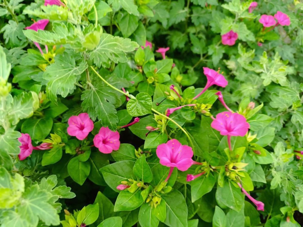 � ������ �����, �����������!