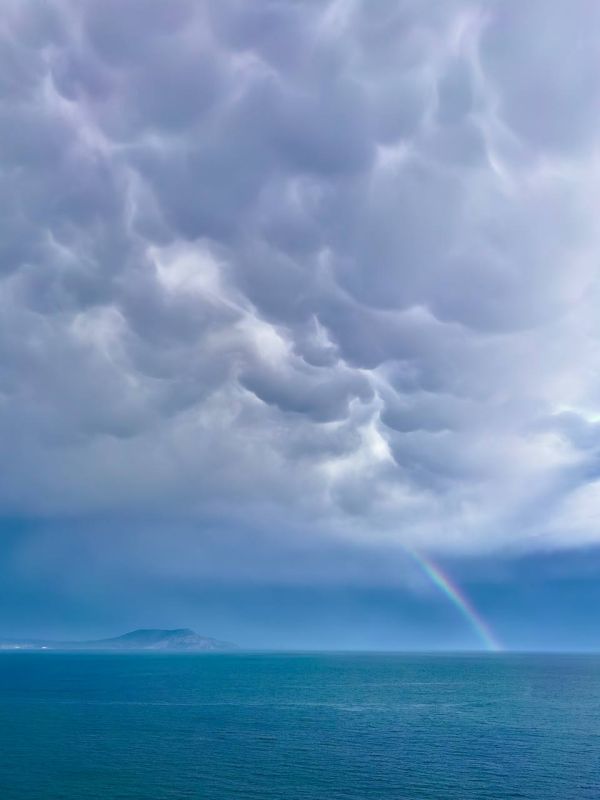 ������ � ���� - ������ �������