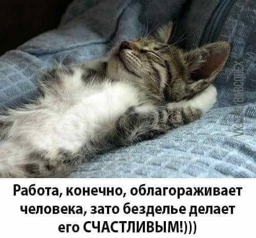 ���, ������, ���� �� �����