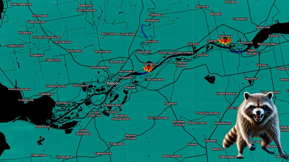 ���� �� �������: ������ ����! ����������� ���������� �� �����������: