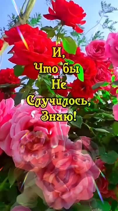 ��������� 4 �������. ���� ����������������