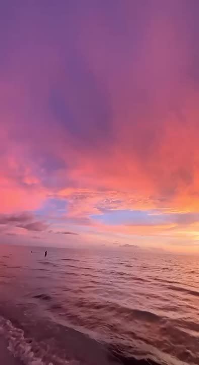 �������� ����������