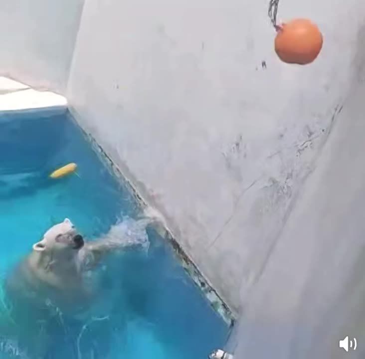 �����, ���� �������� �� ��������