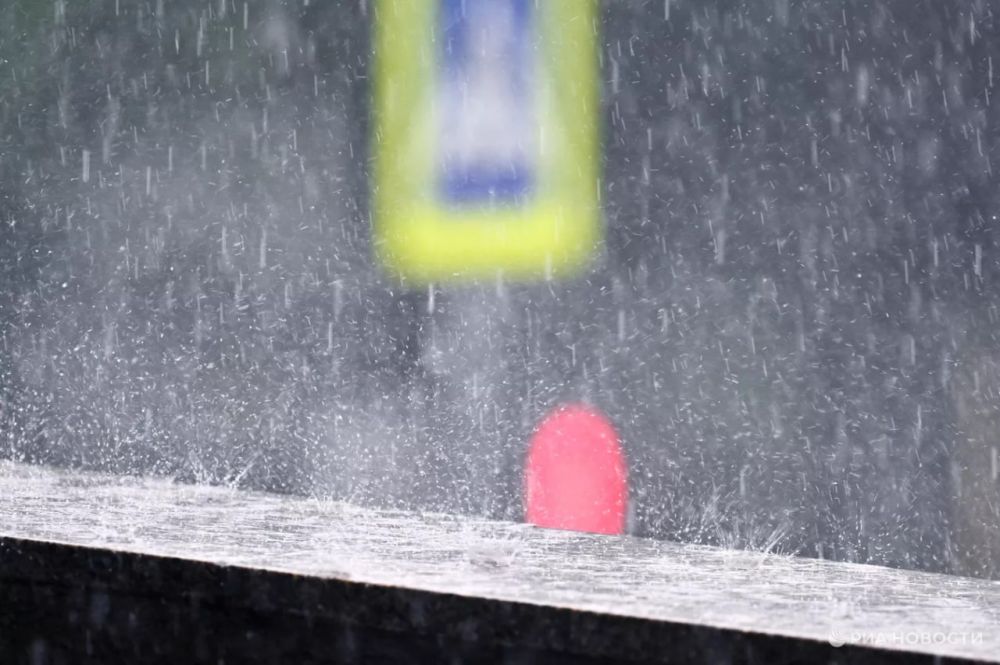 ������ �� ����� ����������� ������