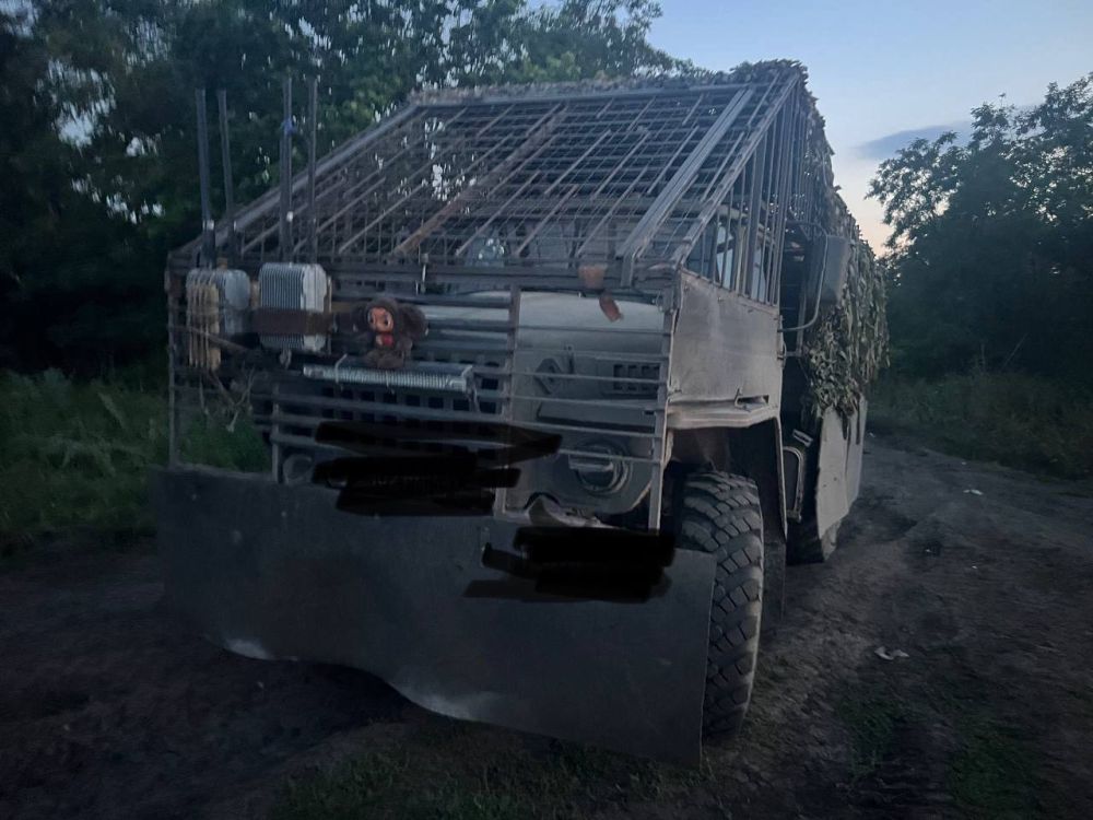 ����� ���������� �������������� � �������������� ������� �� FPV-������ � �����