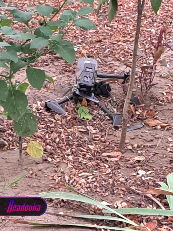 ���� ���� ��� ������� ���� �������-��������� ����� � ���� ������ ������� � ��� ���� ���������������� ����� ��������� � ����� �������