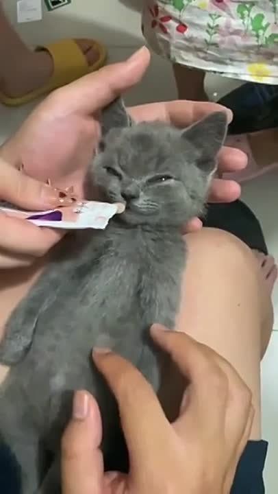 ��������� ����!. ��������-����� ���������� �������