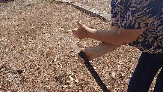 �������� ���������� ������������ ����� ���� ����������