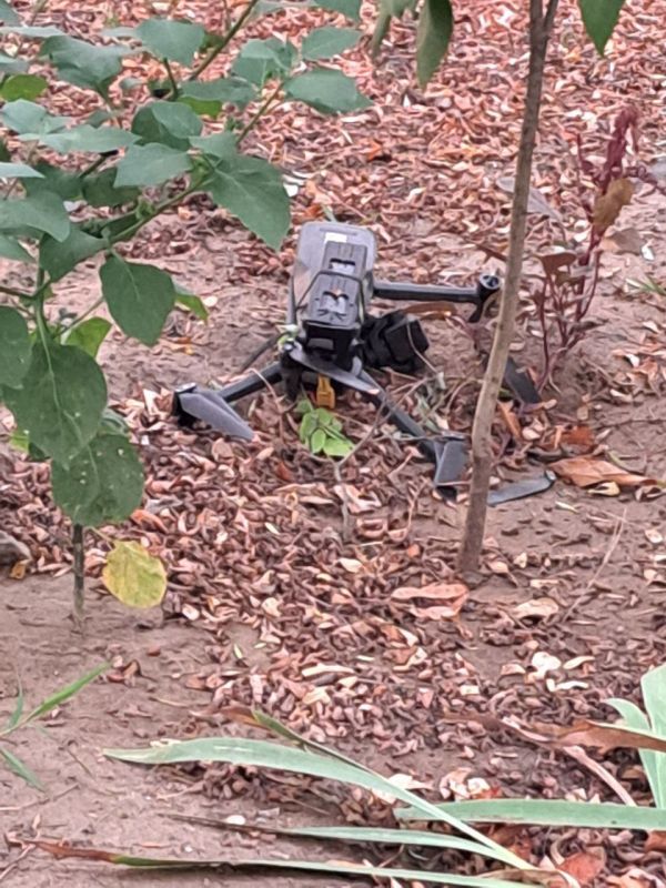 �������� ������: ���� ������� ������� �� ������� ���������������� ���� � ����� �������