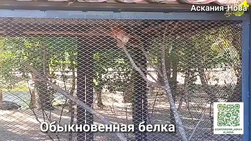 ���������� ��� � �����������