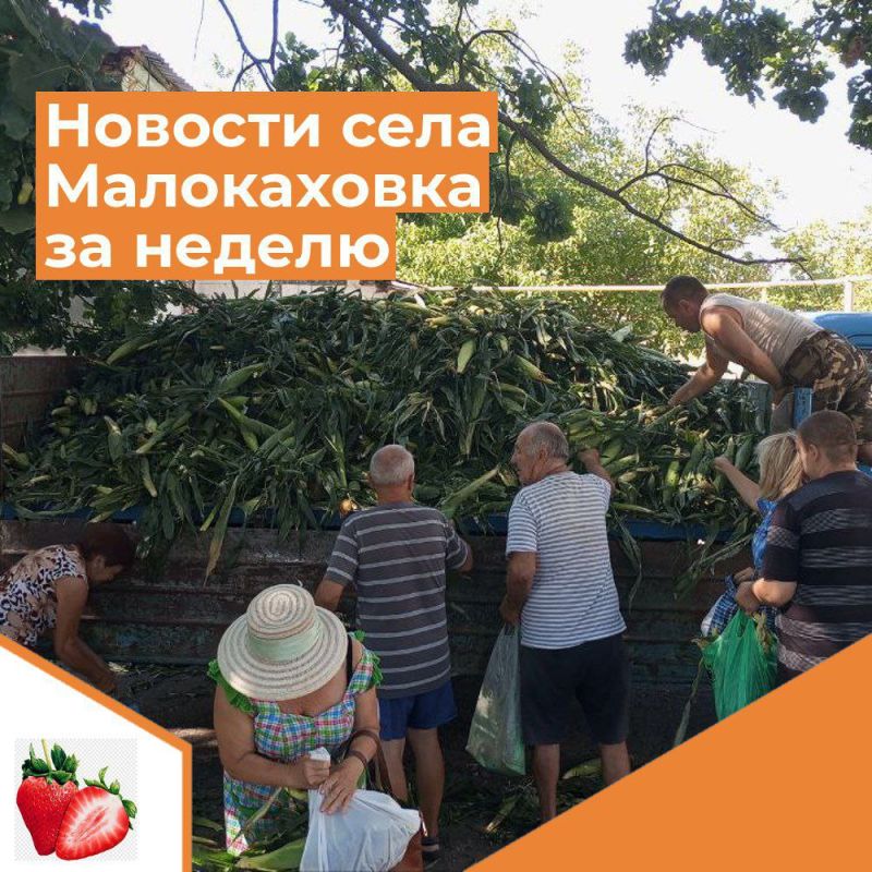 ������� ���� ����������� �� ������ � 28 ���� �� 4 �������