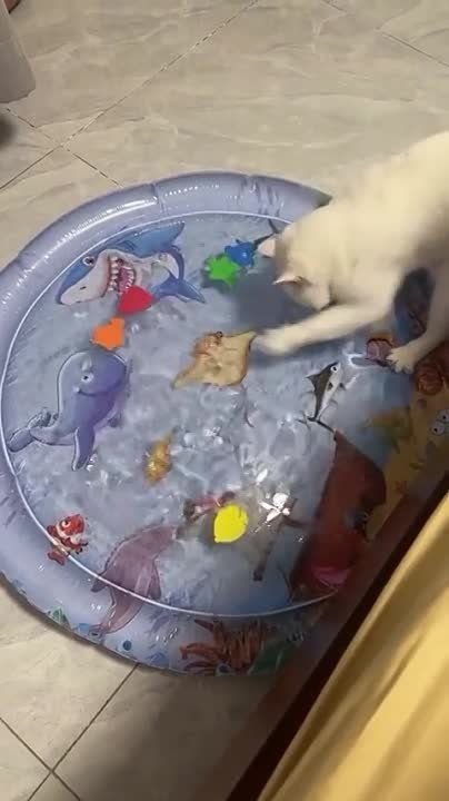 ��������� ����!. ��������-����� ���������� �������