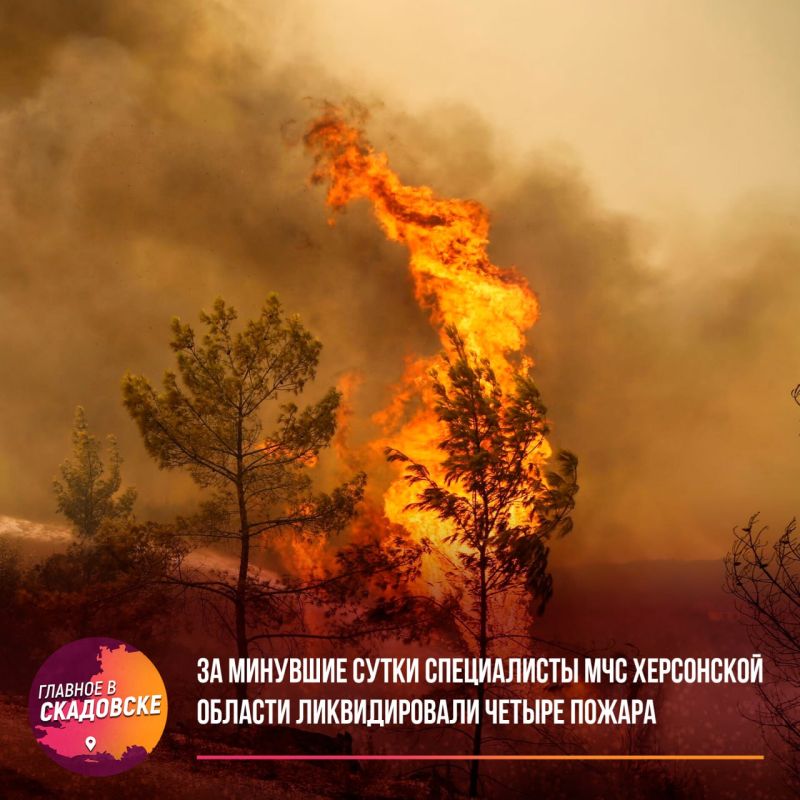 �� �������� ����� ����������� ��� ���������� ������� ������������� ������ ������