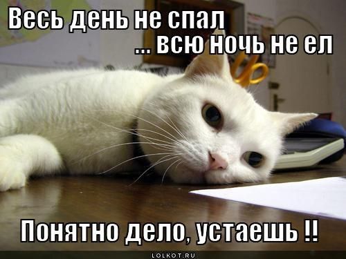 � �������� ��������� ������� ���� ������� ����������