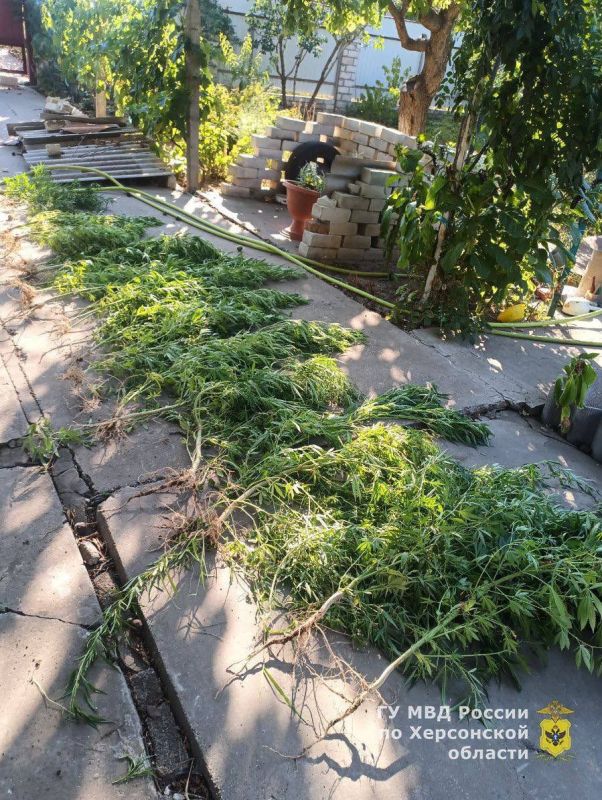 � ���������� ������ ����������� ������� ���� ����������� ��������������� �������