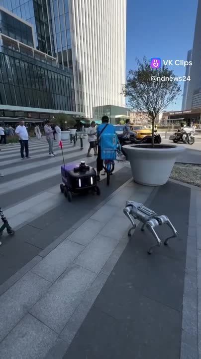 �����-��� ��������������� ������-�������, �������� ���� �� �����